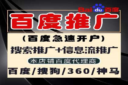 谷歌SEM案例研究：广告预算分配与优化